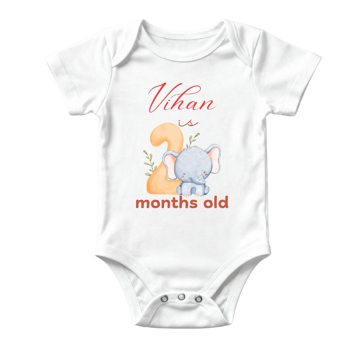 2 Month Baby Milestone Onesie – Cute Monthly Growth Outfit