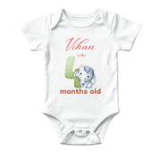 4 Month Baby Milestone Onesie – Cute Photo Outfit