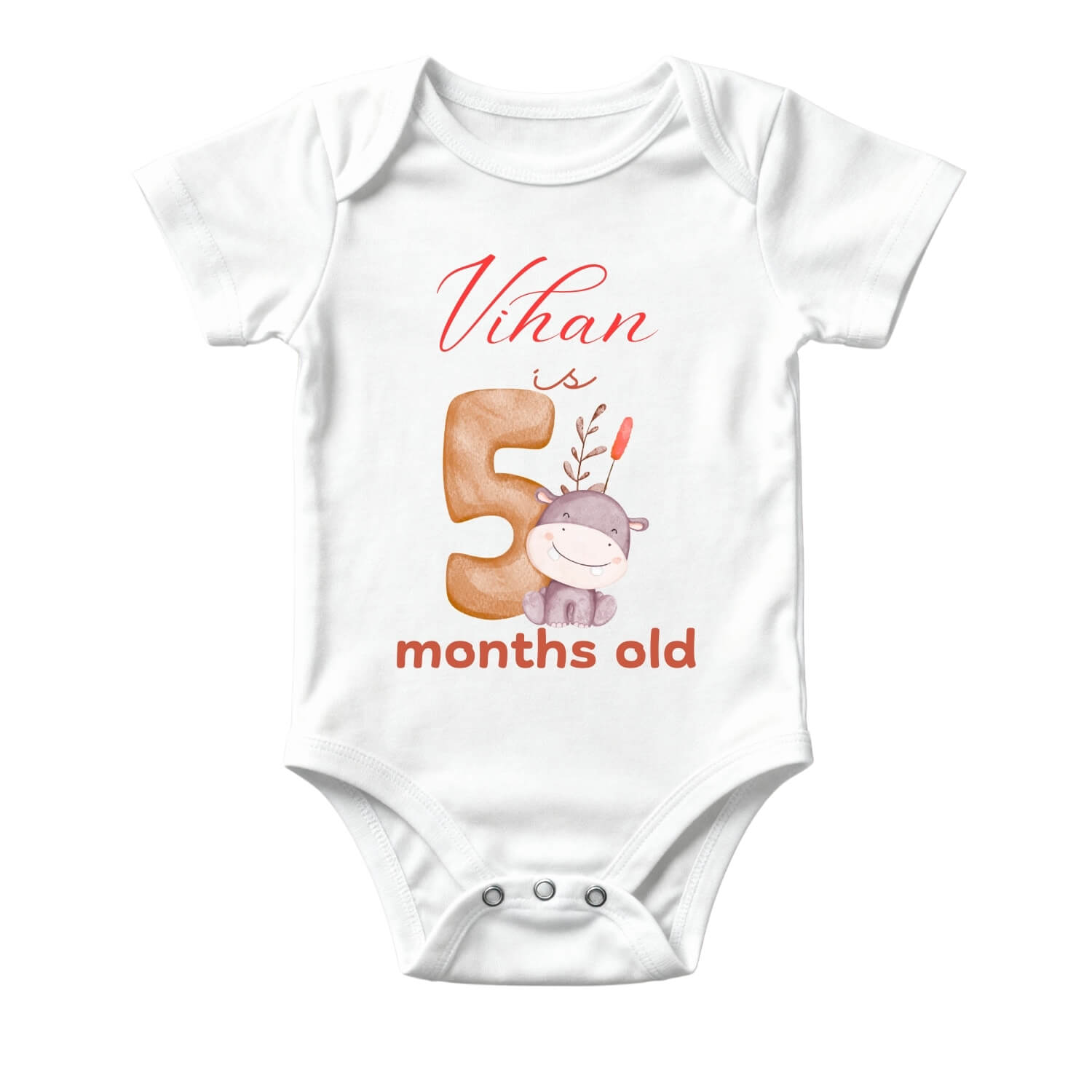5 Month Baby Milestone Onesie – Baby Memory Outfit